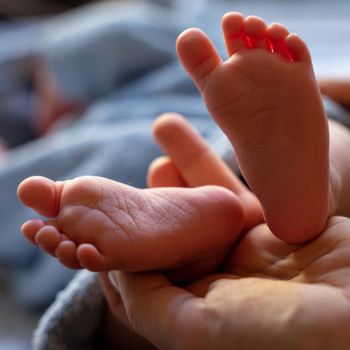 מחלת הפה והגפיים